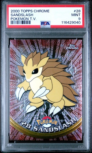 Sandslash pokemon 2000 - pokemon,