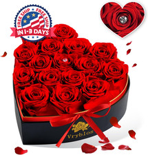 Regalo de San Valentin de 16
