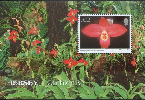 Jersey 2004