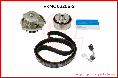 Kit cinghia distribuzione - cinghia, +