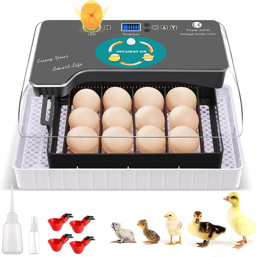Incubatrice completamente - incubatrice,