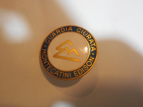 Distintivo guardia giurata - distintivo,