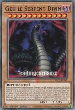 Yu-Gi-Oh! Geh le Serpent Divin : DLCS-FR142 C