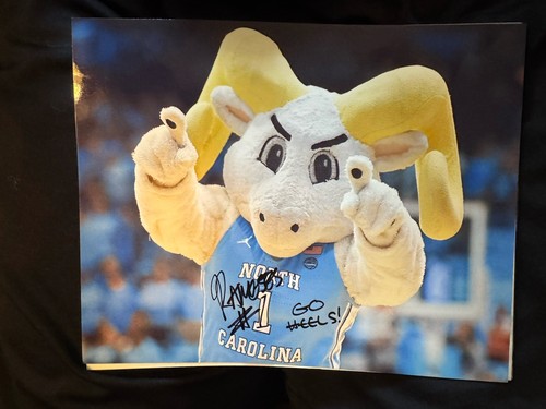 Mascotte rameses tar carolina - tar,