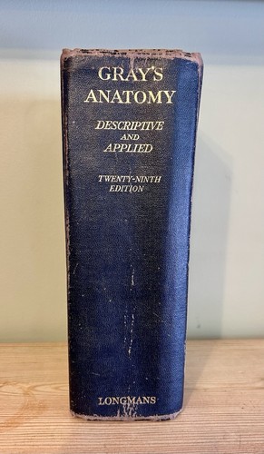 Antique 1946 gray anatomy - antique, gray’s