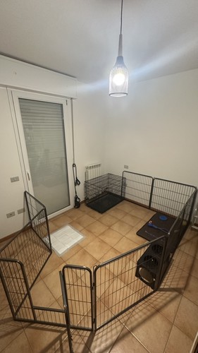 Kennel cane grande - kennel,