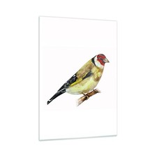 Quadro su Vetro 50x70cm
