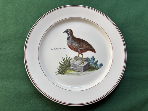Grande assiette villeroy - grande,