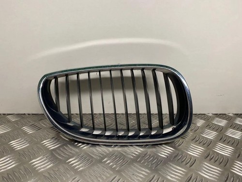 Griglia radiatore bmw - griglia, 5