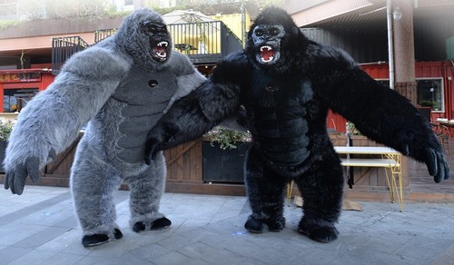 Costume gonfiabile gorilla - ,