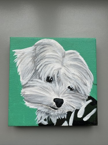 Mini dipinto cane maltese - mini,