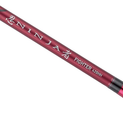 Canna pesca storione daiwa - storione,