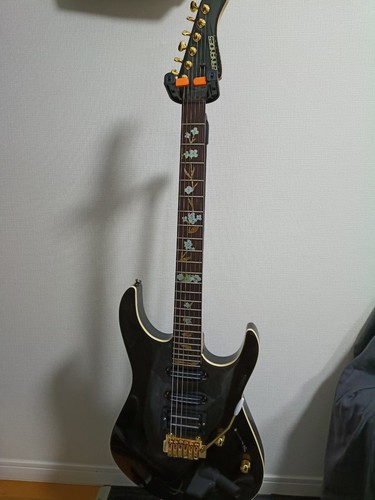 Chitarra elettrica fernandes - chitarra,