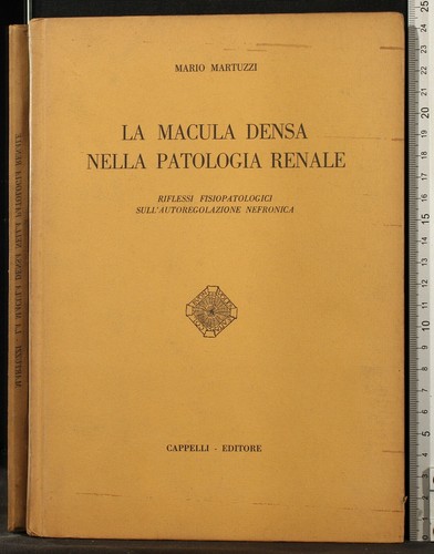 Macula densa nella - la,