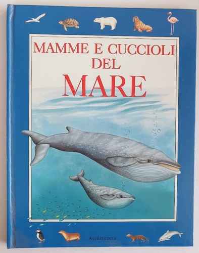 Mamma cuccioli del - mare, di