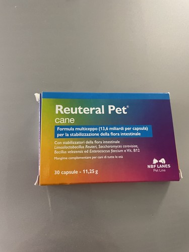 Reuteral pet cane - reuteral,