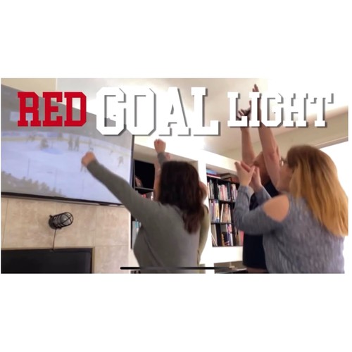 Hockey goal light horn 31 - horn,