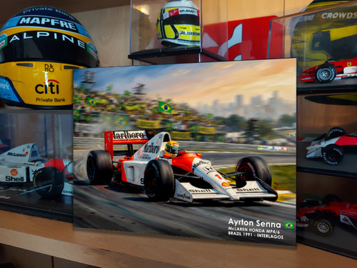 Insegna metallo ayrton senna - insegna,