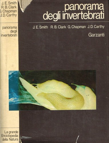 Panorama degli invertebrati - .,