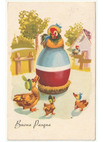 1954 uovo gallina - , anatre