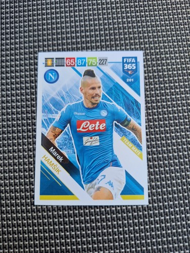 201 marek hamsik napoli - 201.,