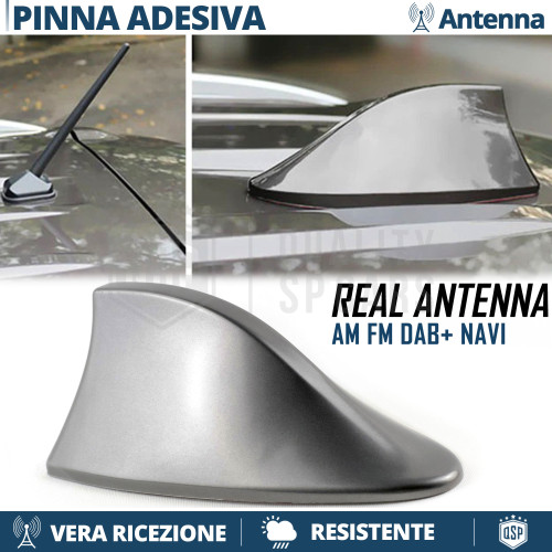 Antenna pinna squalo - antenna, grigia