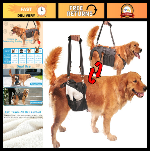 Imbracatura sollevamento cani - imbracatura,