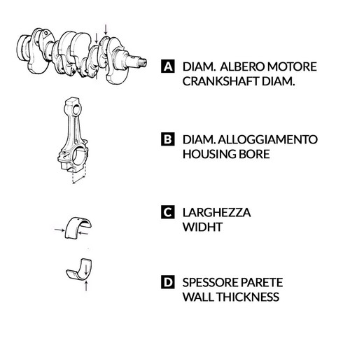 Serie bronzine biella 025 - serie,