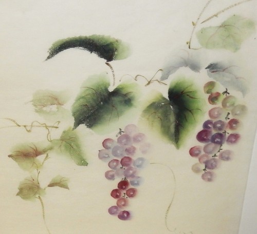 Masuko nakafuji viti - nakafuji,