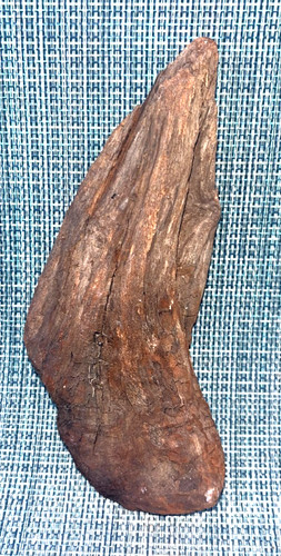 Manzanita legno naturale - manzanita,