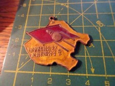 MEDAGLIA  spilla sconosciuta