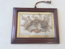 Victorian Diorama Sea Weed Basket circa 1860