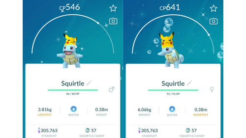 Shiny squirtle schiggy - 💦shiny, (schiggy