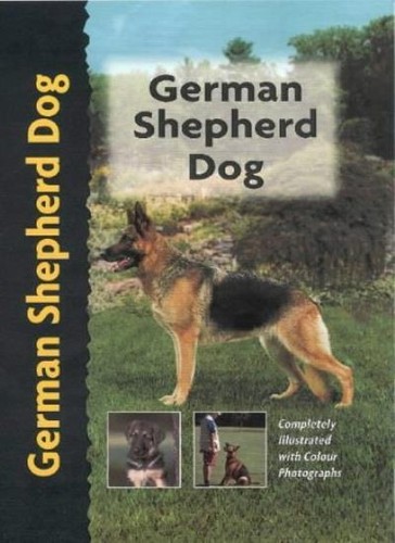 German shepherd dog breed - shepherd,