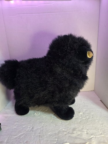 Grande cane cucciolo - , nero