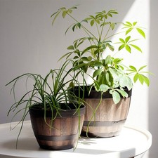 Vaso forma botte - forma, di