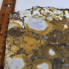 Diaspro orbicolare King Cobra