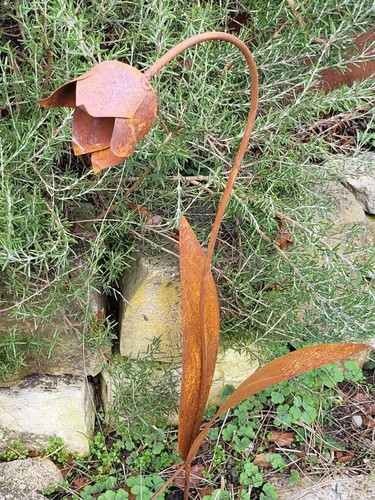 Campanula acciaio inox da - campanula,
