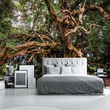 Carta da Parati Camera da