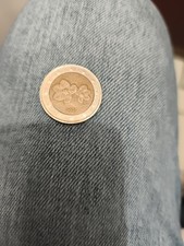 Moneta euro finlandese - moneta, da