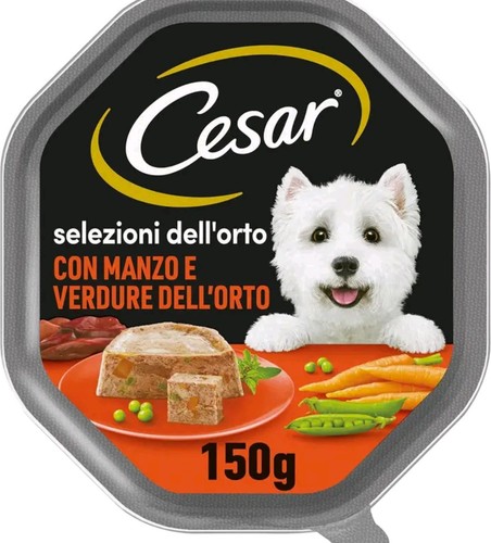 Ciao per cani selezione - cani,