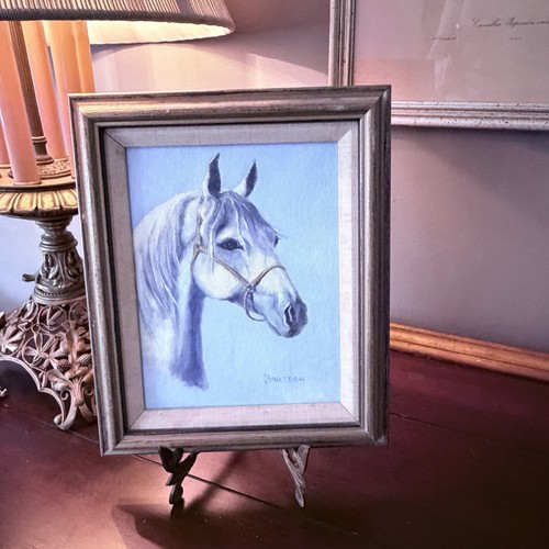 Quadro vintage cavallo bianco