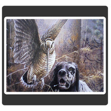  adesivo  cane caccia setter