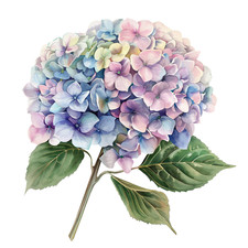 Adesivo murale adesivo