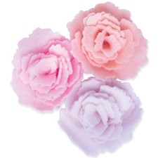 Sizzix Bigz Die Cabbage Rose