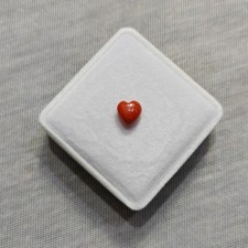 Autentico cabochon di corallo