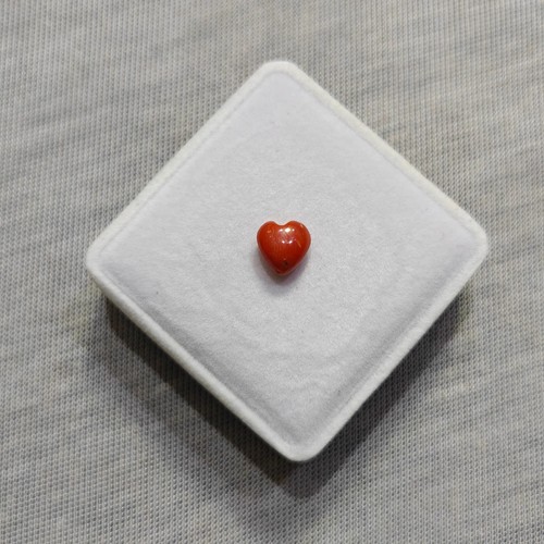 Autentico cabochon corallo
