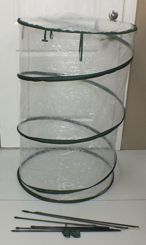Cilindro copri piante pop - , up