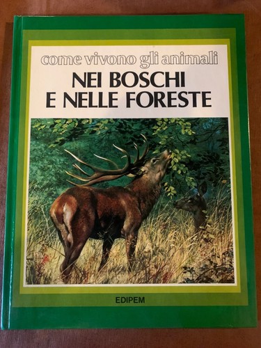 Come vivono gli animali nei - come,