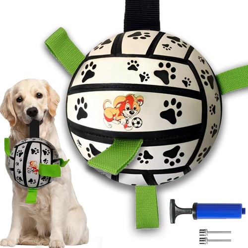 Giocattolo palla per - per, cane
